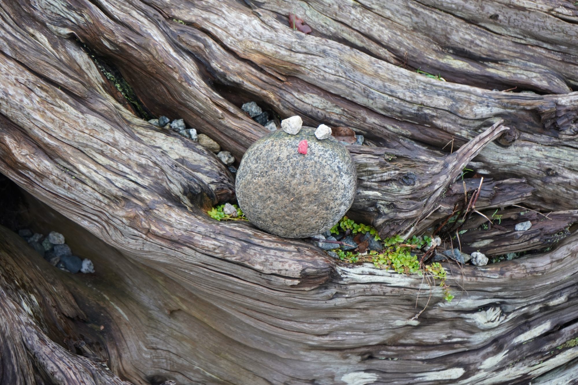 Stone face thing