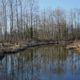 Still Creek