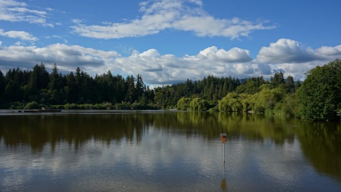 Lost Lagoon reflected