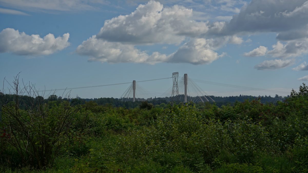 Power lines and Port Mann Bridge