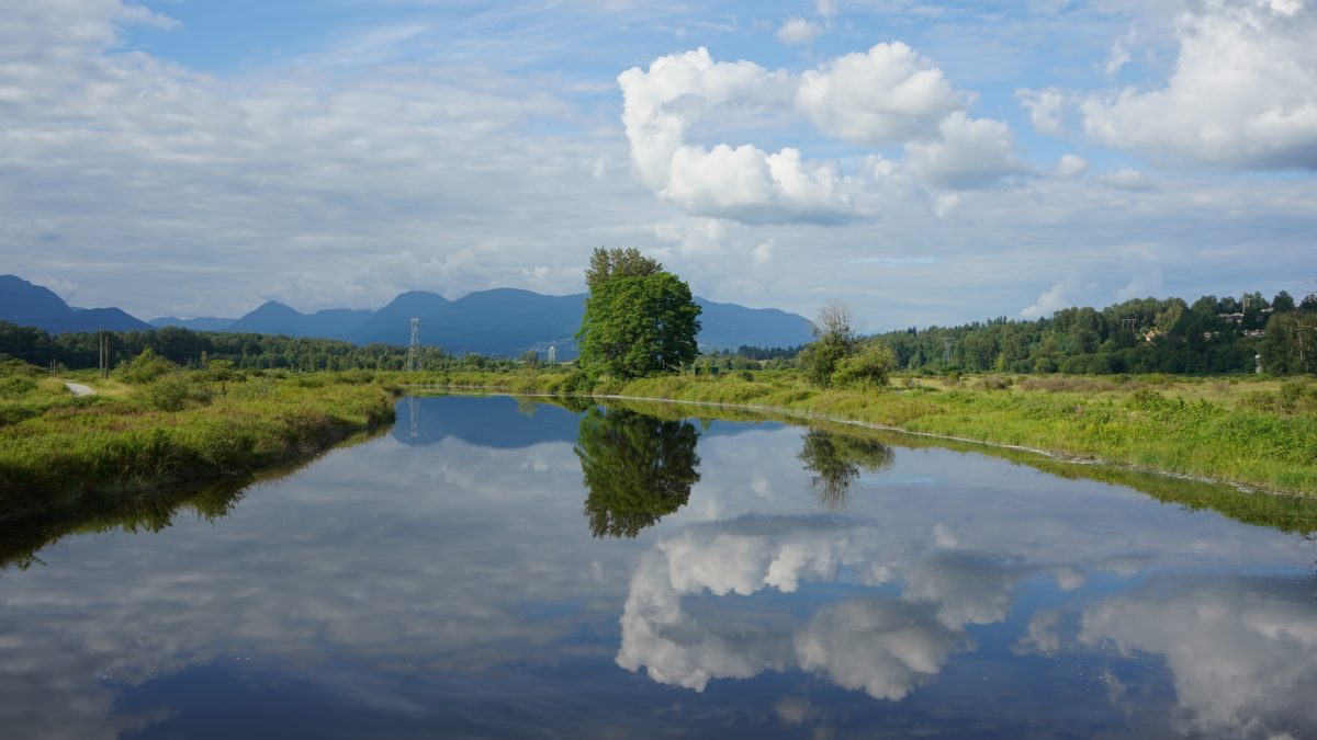 Coquitlam River and reflection