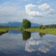Coquitlam River