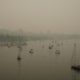 Sepia False Creek