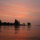 Peach sunset