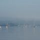 Misty morning