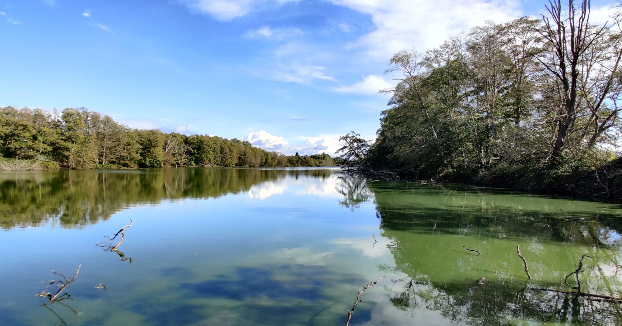 Reifel reflection
