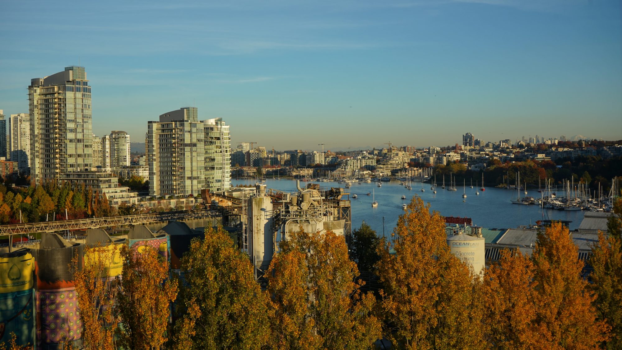 View of False Creek