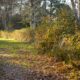 Light on path