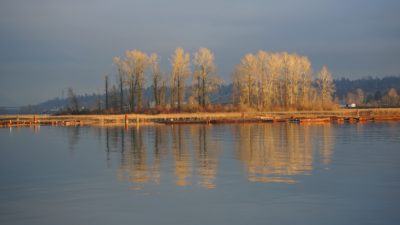 Island on the Fraser