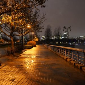 Seawall by myself