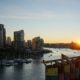 Morning from the bridge