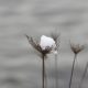 Holding the snow