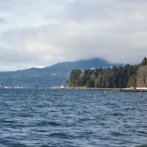 English Bay and Stanley Park
