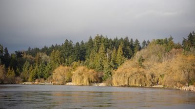 Lost Lagoon