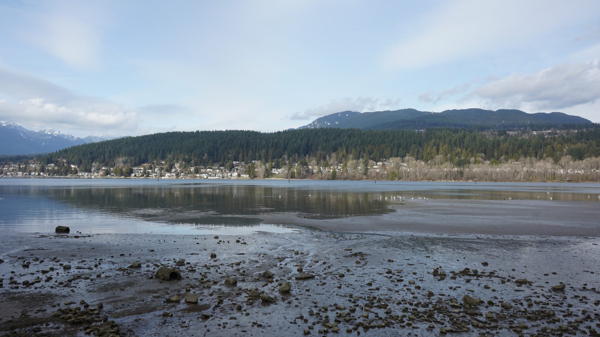 Rocky Point Park low tide