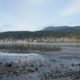 End of Burrard Inlet, low tide