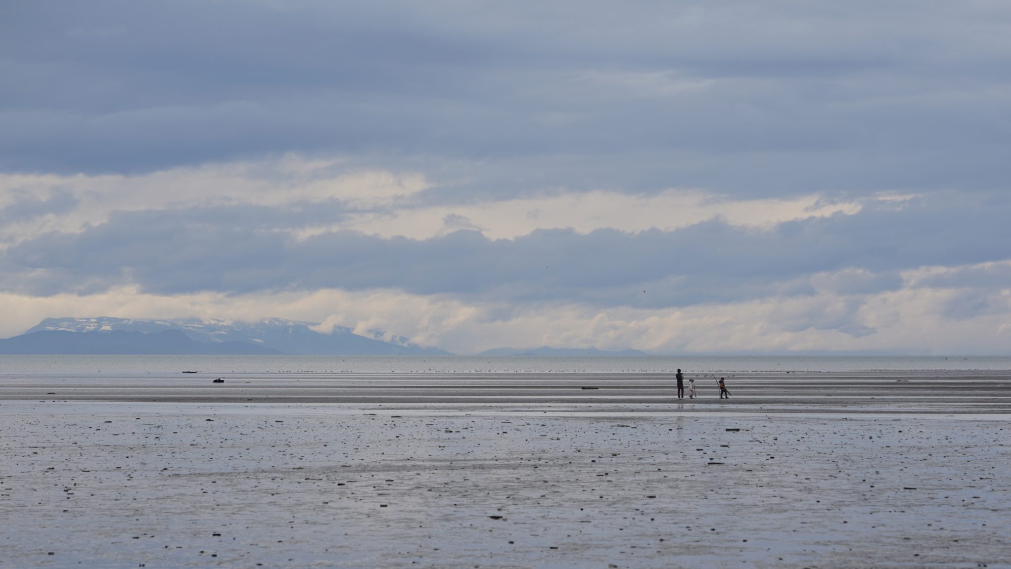 People at low tide