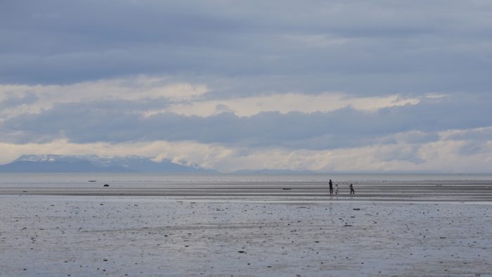 People at low tide