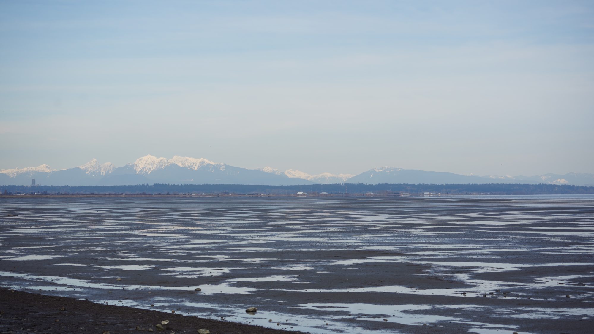 Boundary Bay