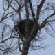 Eagle’s nest