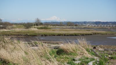 Mud Bay and Mount Baker