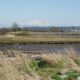 Mud Bay, Mount Baker in the distance
