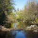 Beaver dam