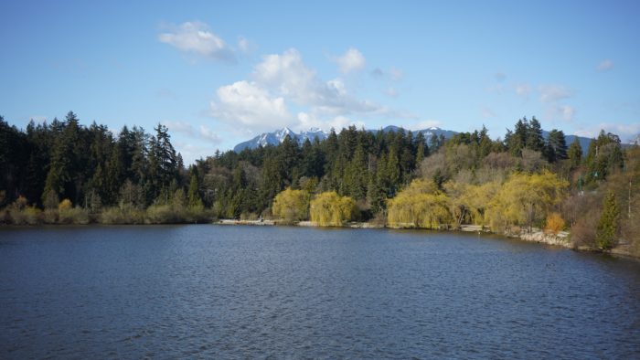 Lost Lagoon