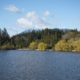 Lost Lagoon view