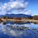 Clouds over the pond