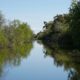 A quiet reflective pond