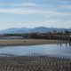 Pilings and ripples