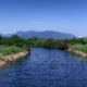 Creek