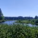 More scenery