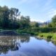 Still Creek