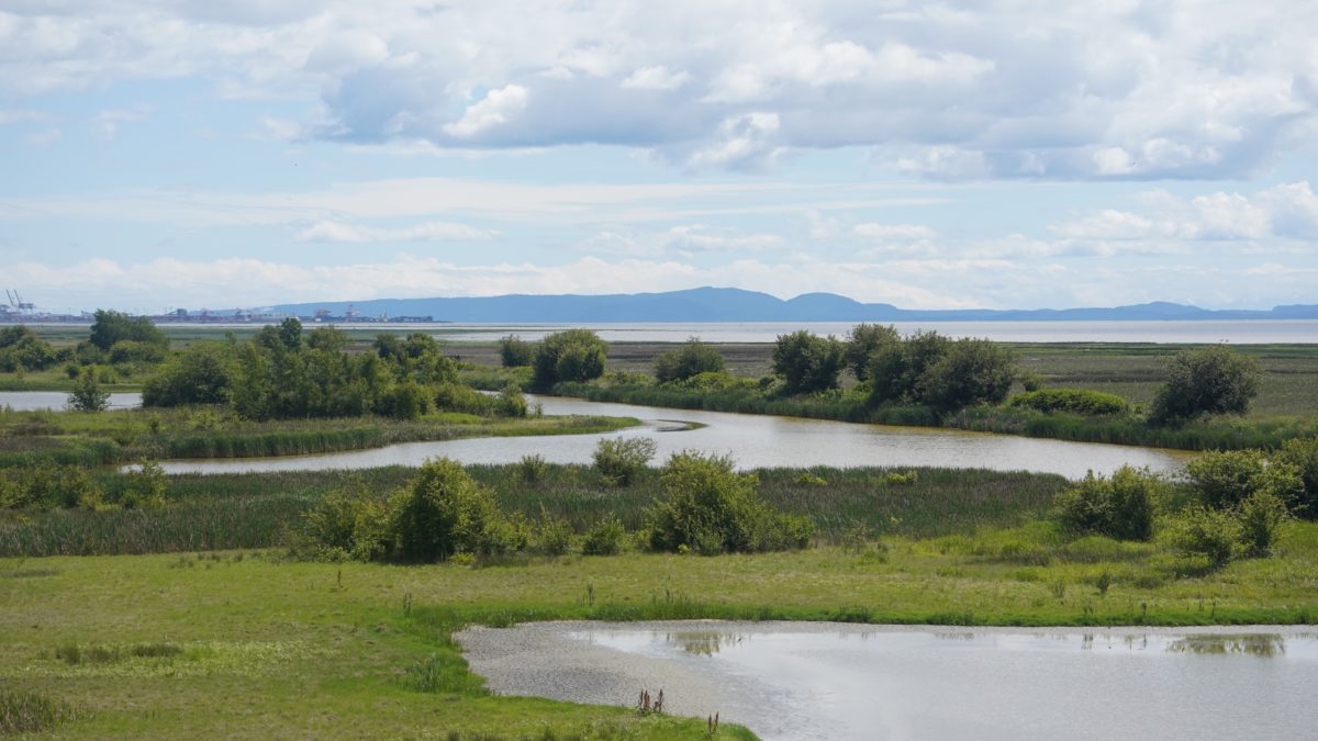 View from the observation tower