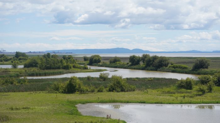 View from the observation tower