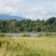 Deer Lake