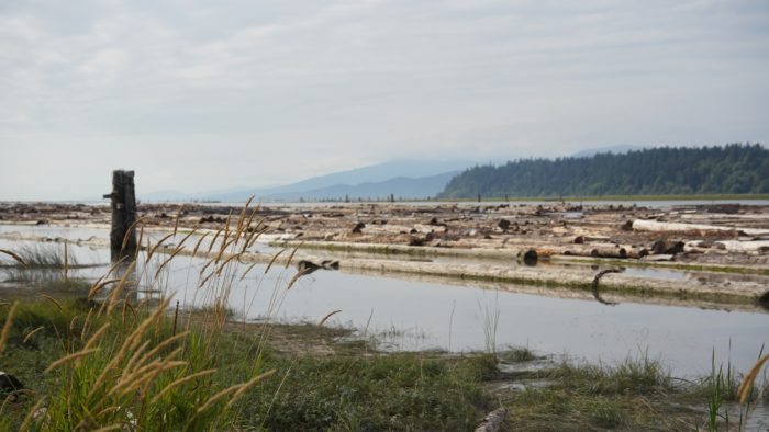 Fraser River