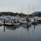 Grey marina