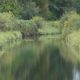 Colony Farm creek
