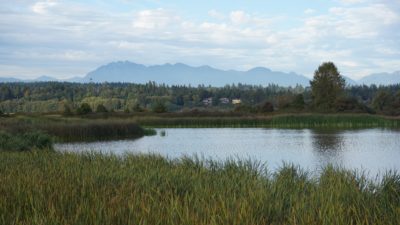 Iona Beach Park pond