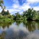 Small pond