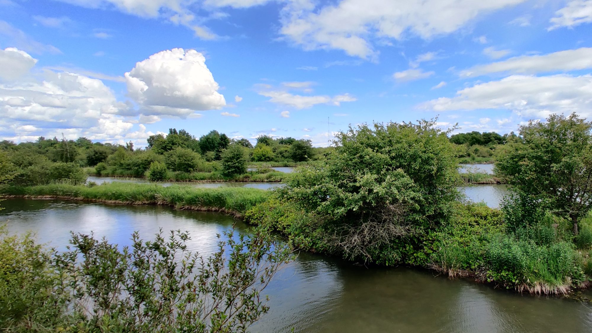 Series of ponds