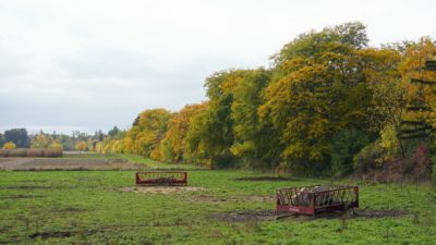 Experimental Farm