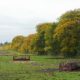 Farm