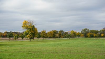 Central Experimental Farm