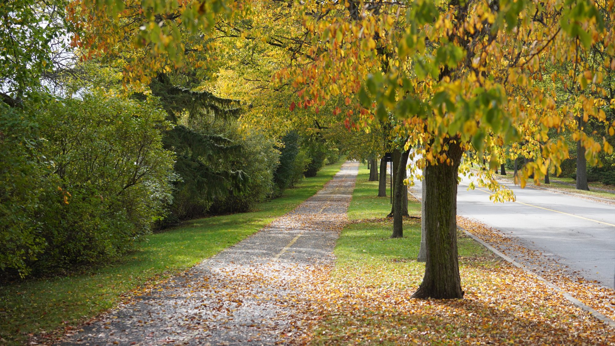 Sidewalk