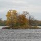 Unnamed Island