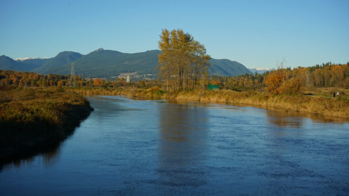 Coquitlam River